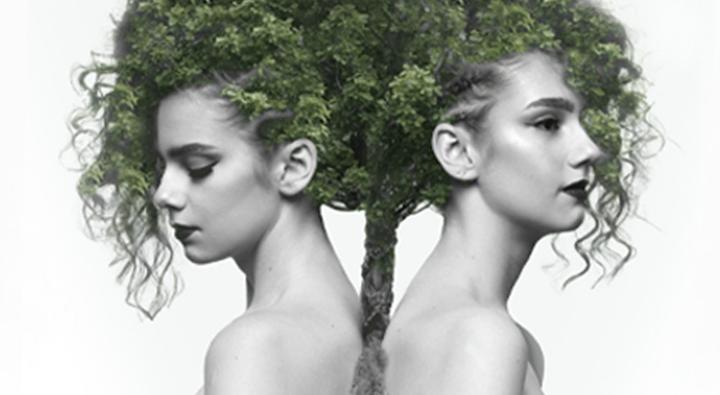 Image of a student created photoshoot with a tree superimposed over the models hair